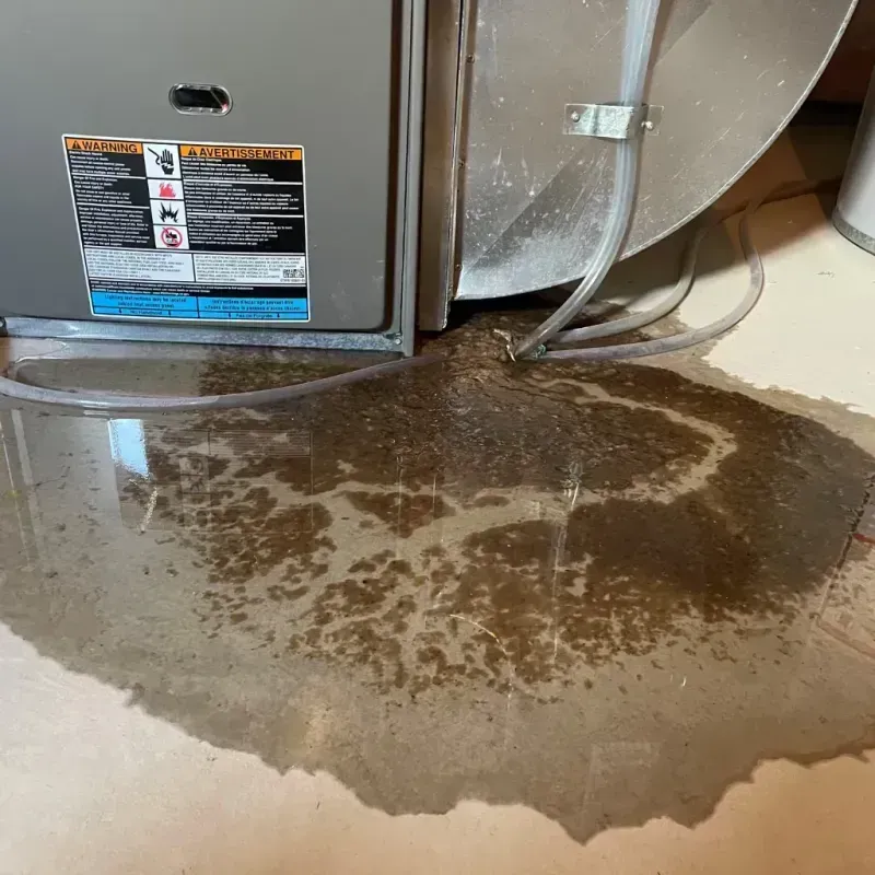 Appliance Leak Cleanup in Missouri City, TX